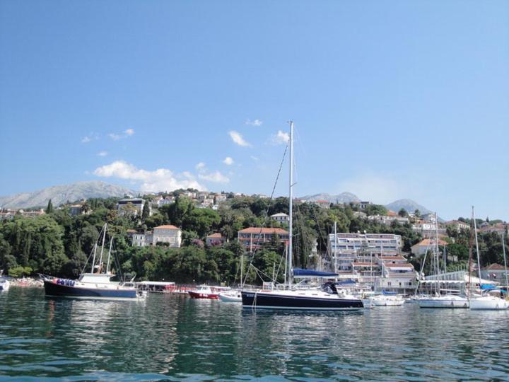 Appartement Carpe Diem Vue Mer Herceg Novi Zewnętrze zdjęcie